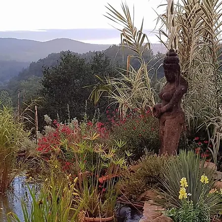 Un Parfum De Thailande, Ressourcement Et Massages Curemonte Exterior photo